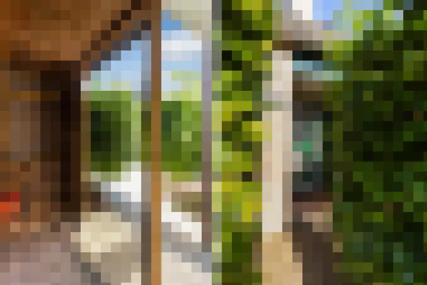 Kameelvlinder 5 Amersfoort thumbnail 32