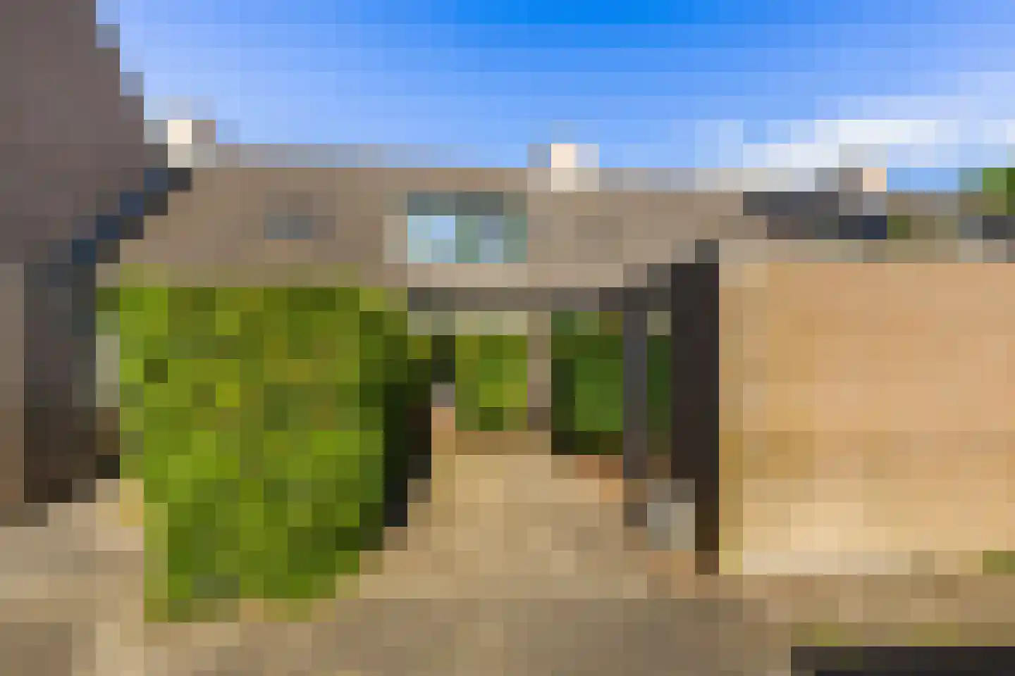 Kameelvlinder 5 Amersfoort thumbnail 33