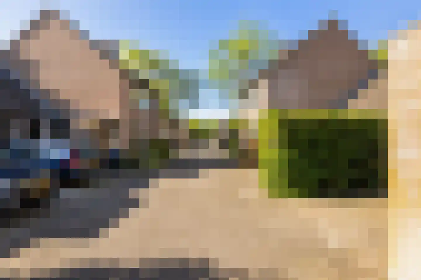 Kameelvlinder 5 Amersfoort thumbnail 34
