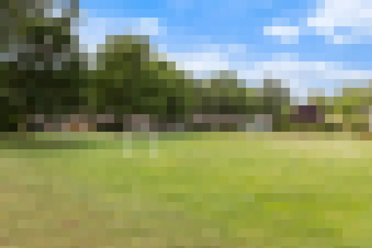 Kameelvlinder 5 Amersfoort thumbnail 35