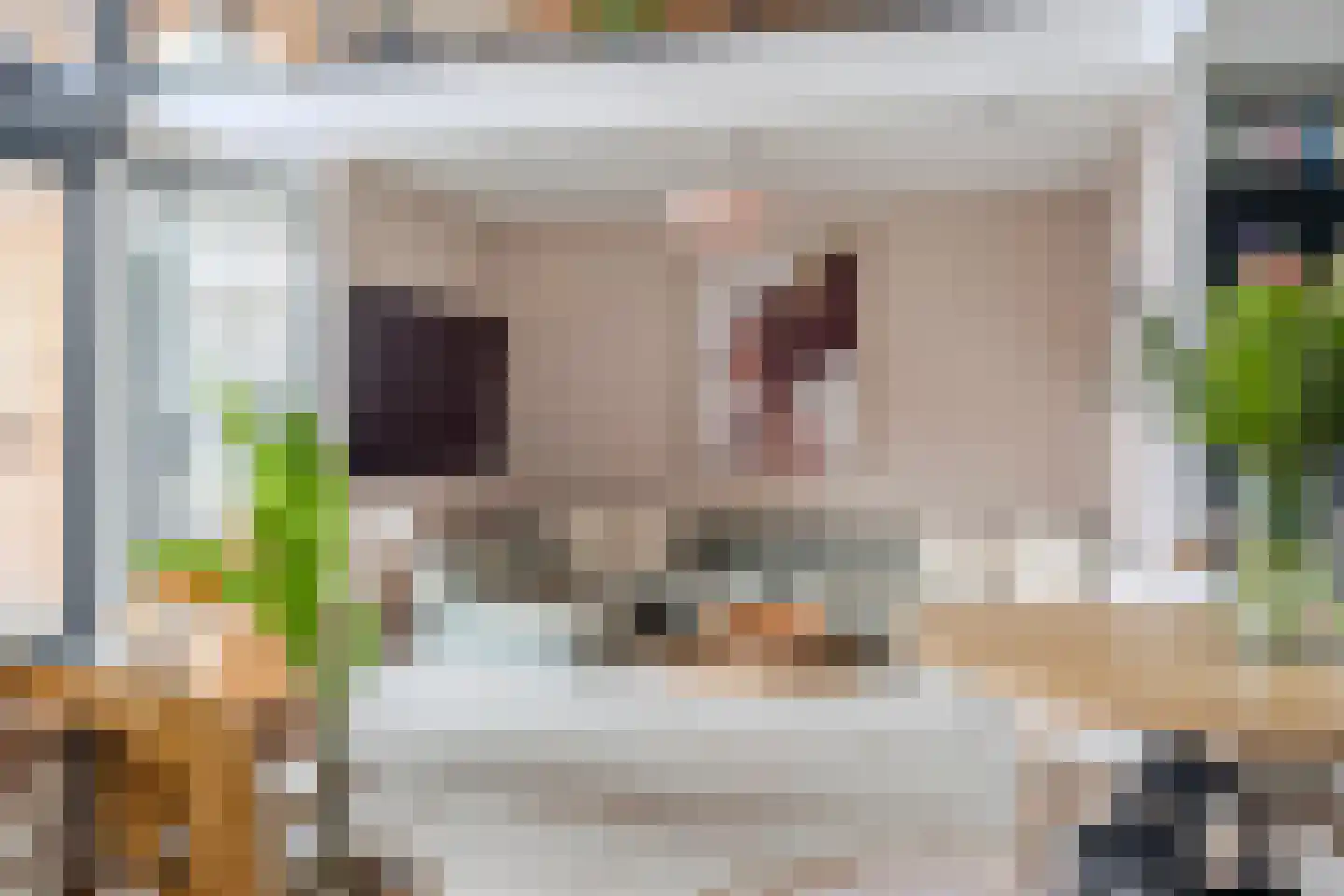 Kamelenburg 46 Barendrecht thumbnail 20