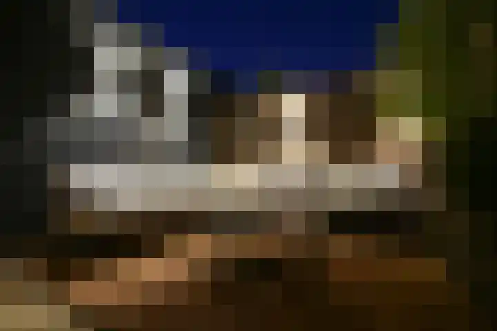 Kamelenburg 46 Barendrecht thumbnail 21