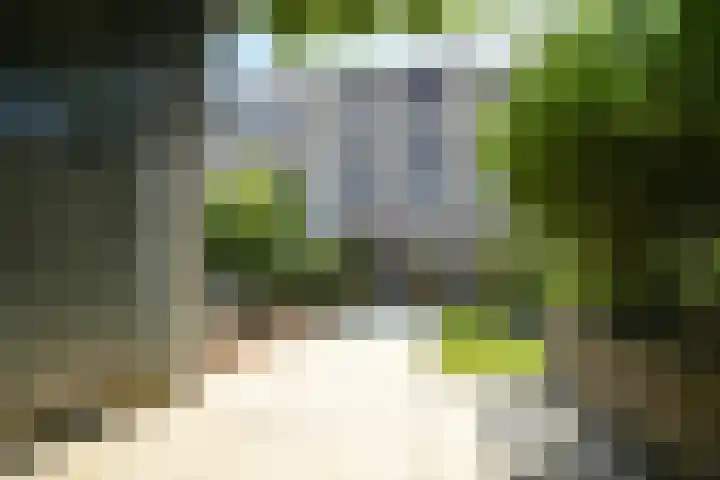 Kamelenburg 46 Barendrecht thumbnail 22