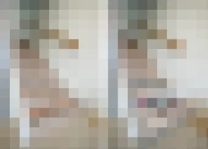 Kamelenburg 46 Barendrecht thumbnail 24