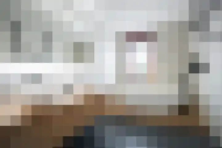 Kamelenburg 46 Barendrecht thumbnail 34