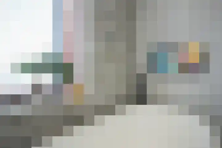 Kamelenburg 46 Barendrecht thumbnail 36