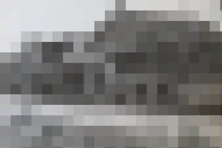 Kamelenburg 46 Barendrecht thumbnail 5