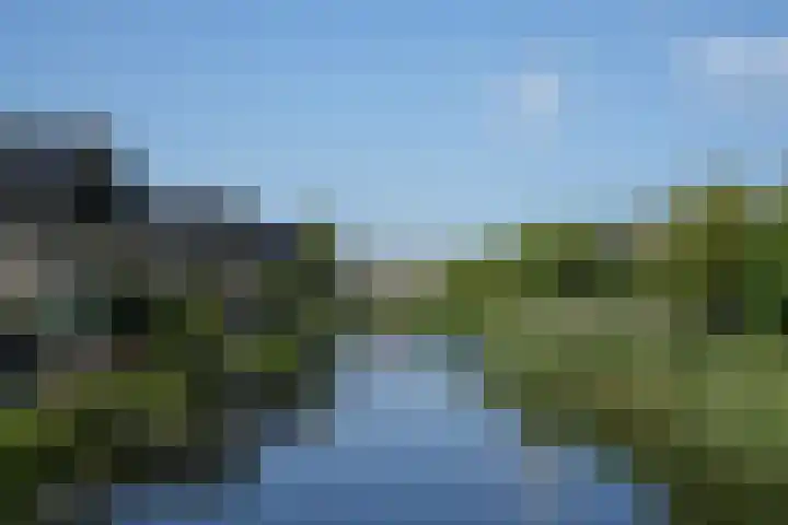 Kamelenburg 46 Barendrecht thumbnail 54