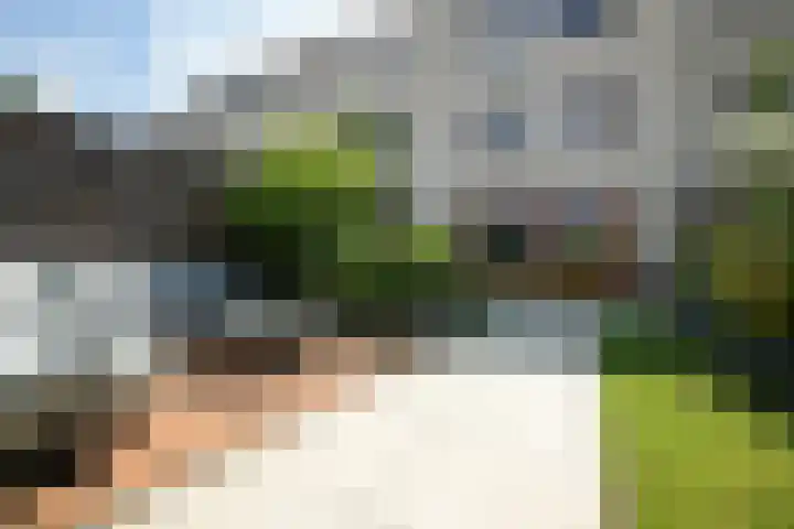 Kamelenburg 46 Barendrecht thumbnail 6