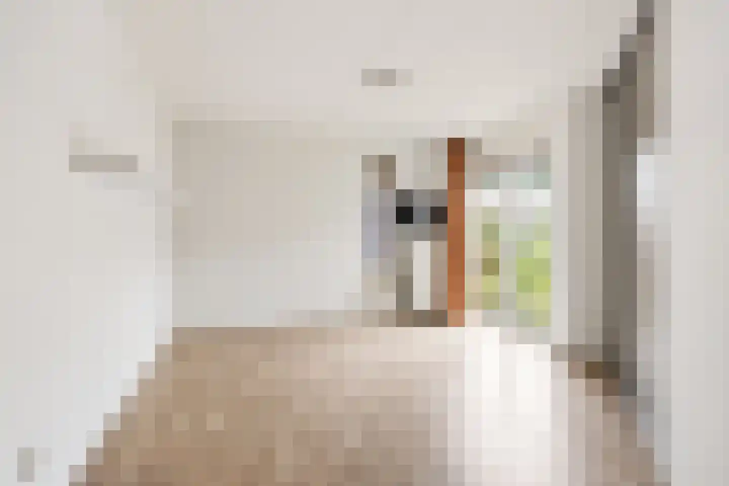 Kamelenhof 3 Almere thumbnail 14