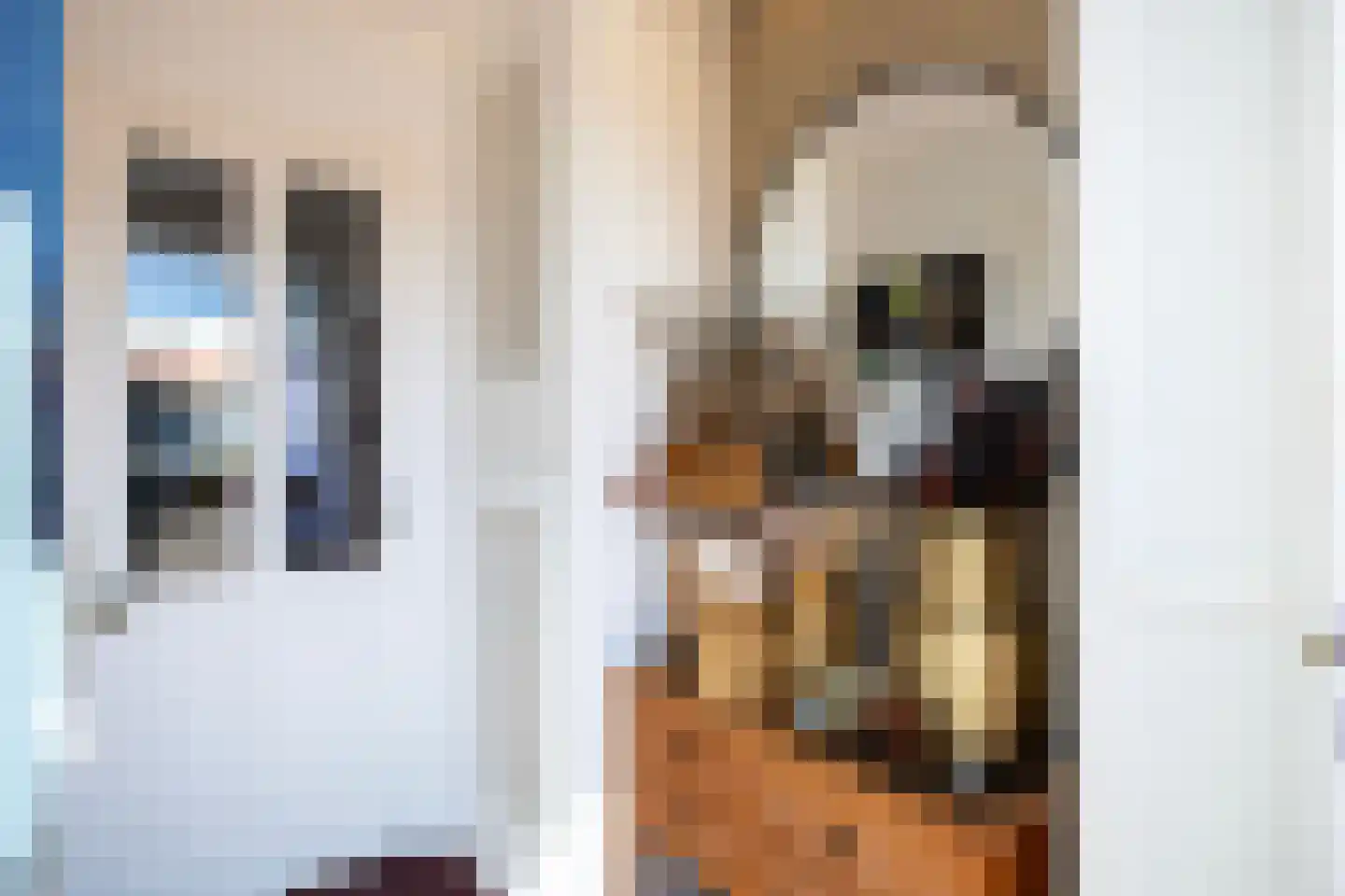 Kamelenspoor 111 Maarssen thumbnail 11