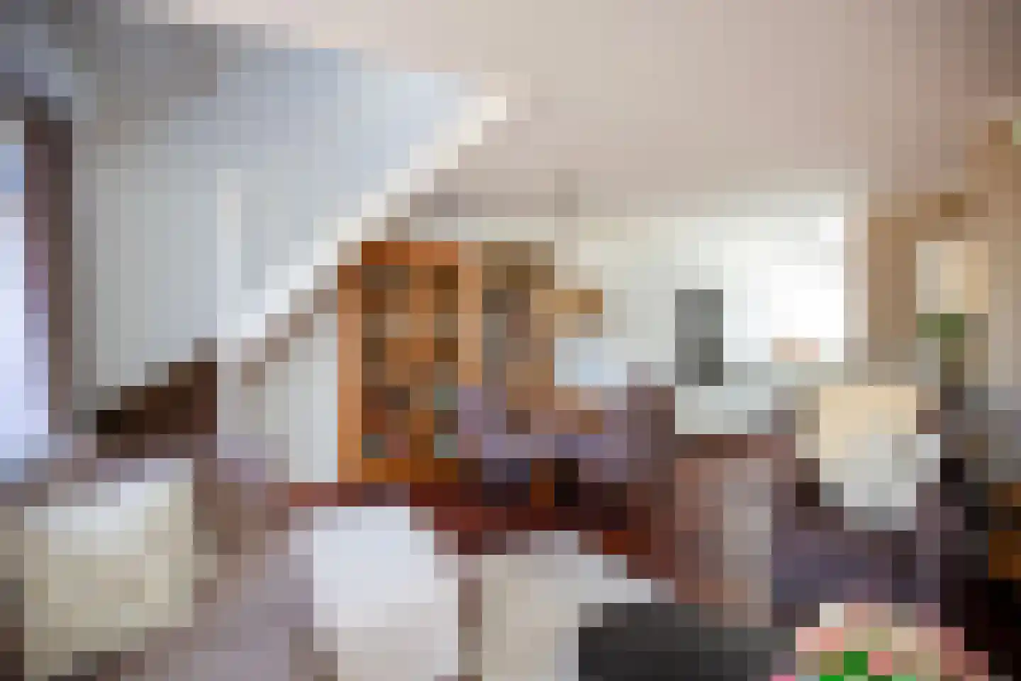 Kamelenspoor 111 Maarssen thumbnail 14