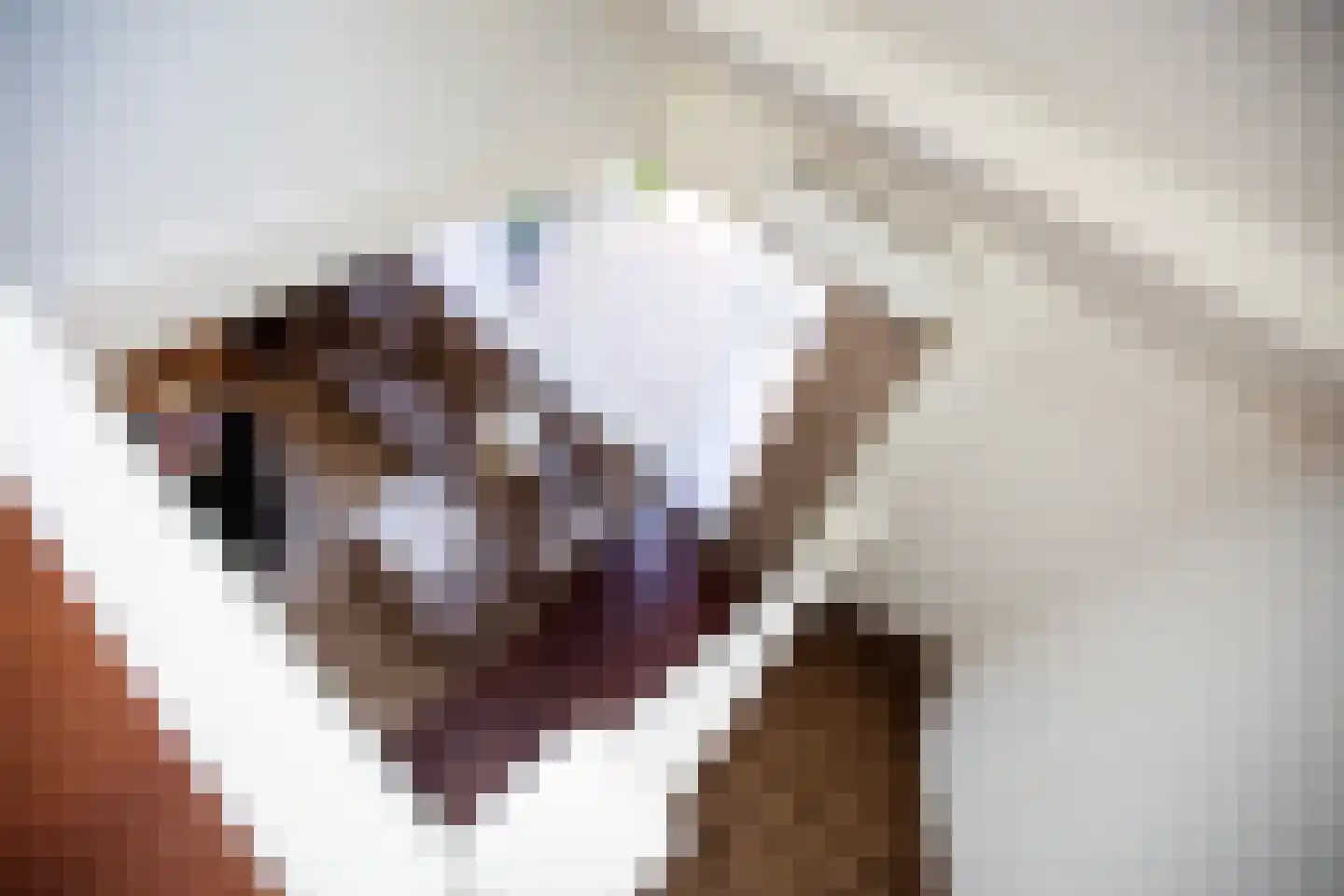 Kamelenspoor 111 Maarssen thumbnail 19