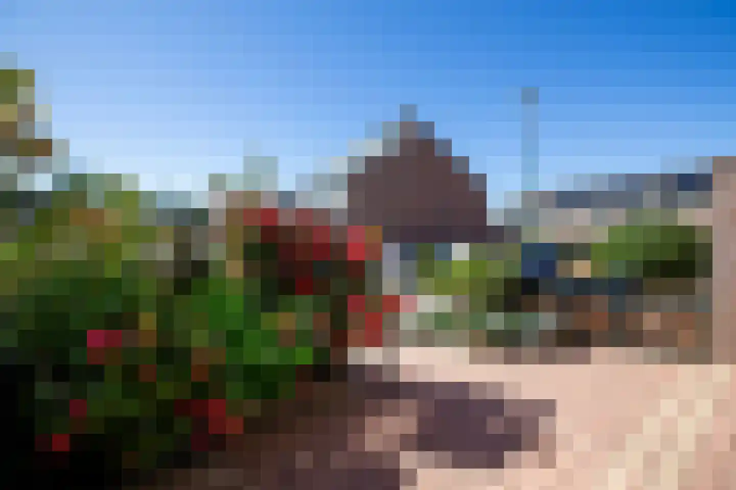 Kamelenspoor 111 Maarssen thumbnail 6