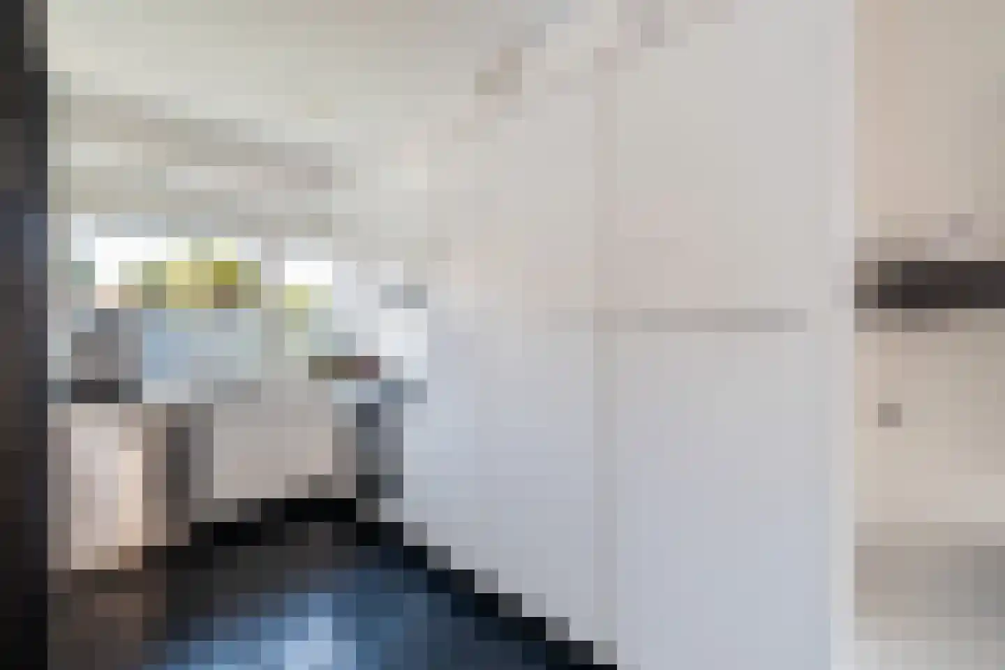 Kamelenspoor 112 Maarssen thumbnail 10