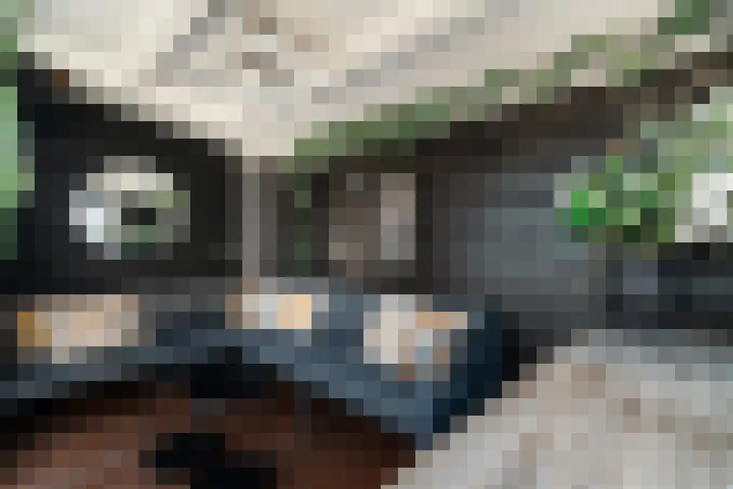 Kamelenspoor 112 Maarssen thumbnail 15