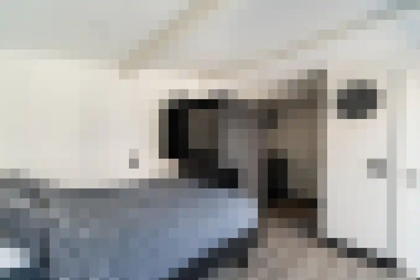 Kamelenspoor 112 Maarssen thumbnail 32