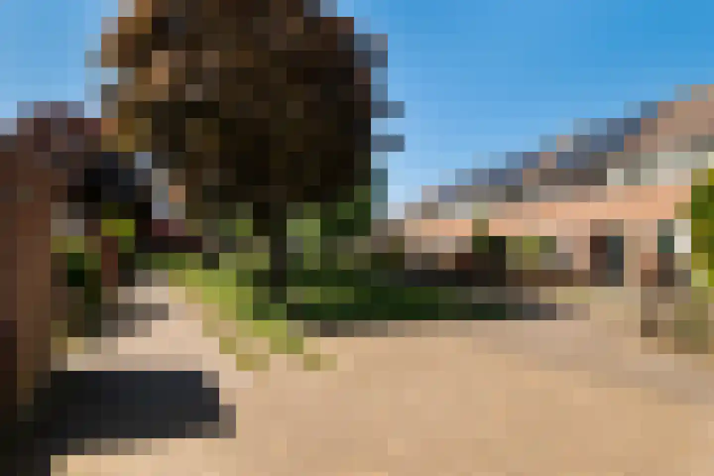 Kamelenspoor 112 Maarssen thumbnail 36