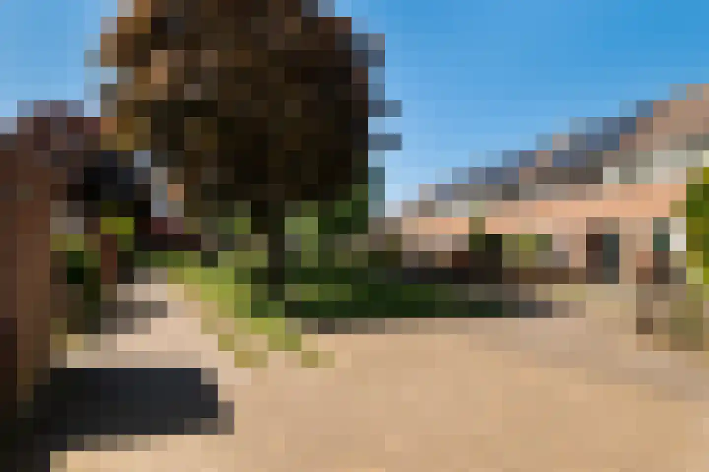 Kamelenspoor 112 Maarssen thumbnail 38