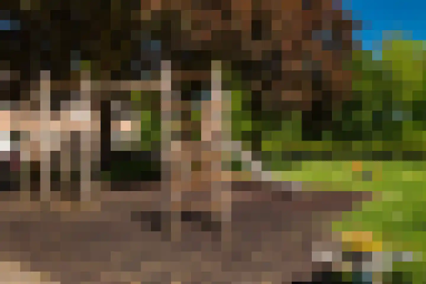 Kamelenspoor 112 Maarssen thumbnail 40