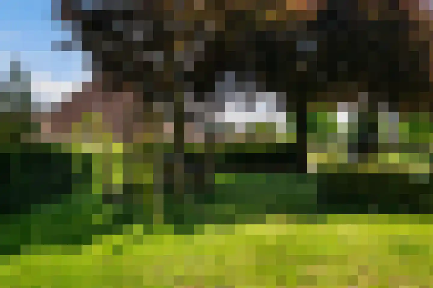Kamelenspoor 112 Maarssen thumbnail 43