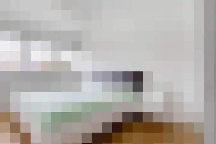 Kamelenspoor 160 Maarssen thumbnail 15