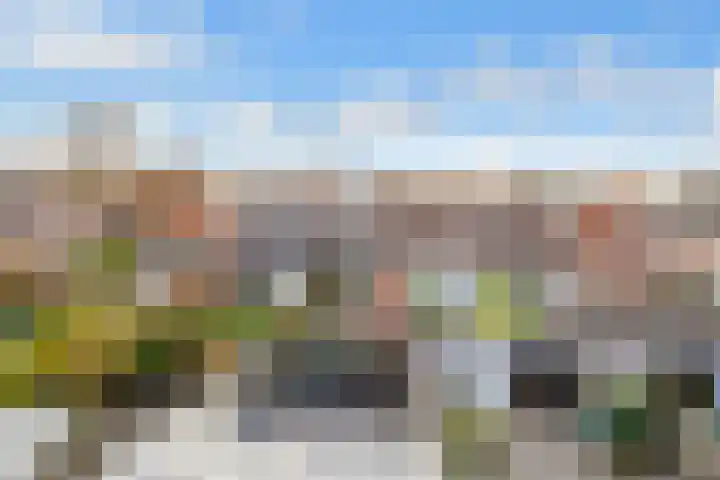 Kamelenspoor 160 Maarssen thumbnail 27
