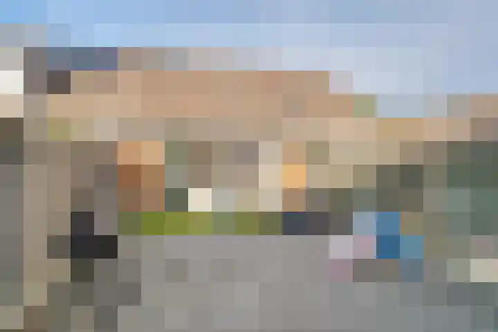 Kamelenspoor 160 Maarssen thumbnail 31