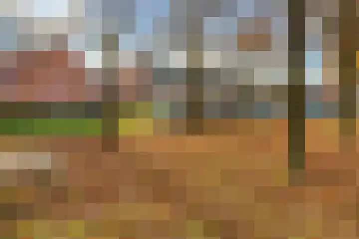 Kamelenspoor 160 Maarssen thumbnail 33