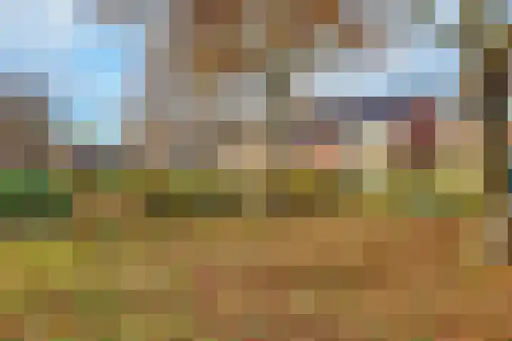 Kamelenspoor 160 Maarssen thumbnail 34