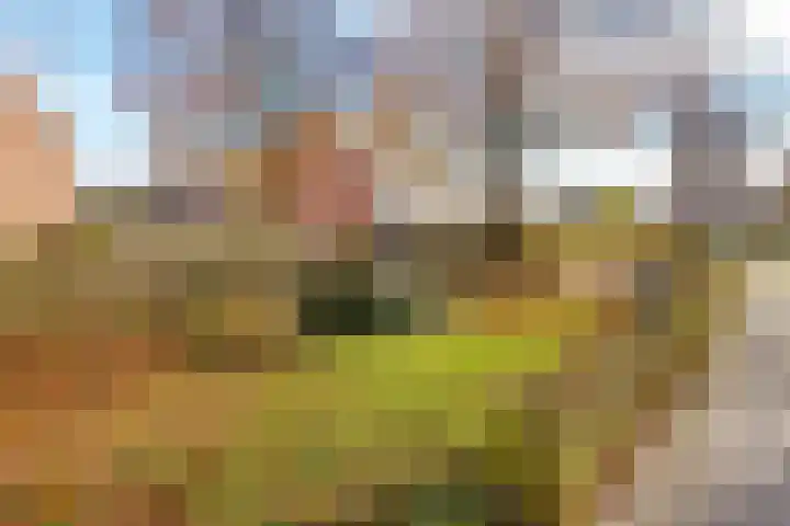 Kamelenspoor 160 Maarssen thumbnail 35