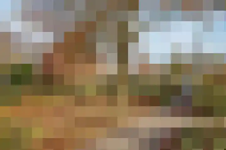 Kamelenspoor 160 Maarssen thumbnail 36