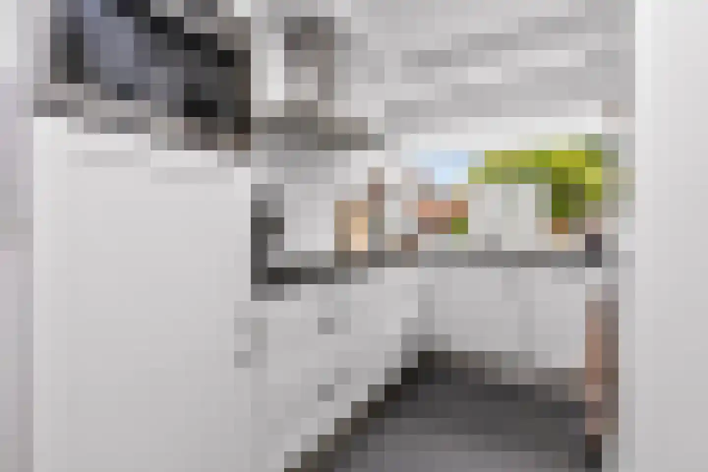 Kamelenspoor 170 Maarssen thumbnail 12