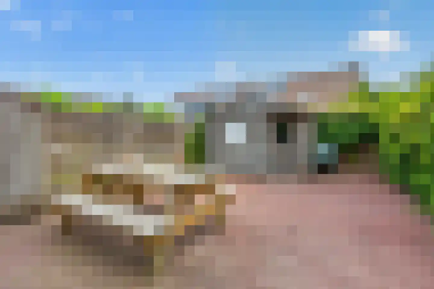 Kamelenspoor 170 Maarssen thumbnail 35