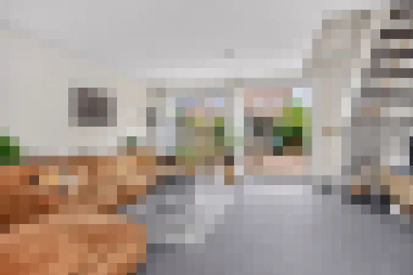 Kamelenspoor 170 Maarssen thumbnail 4