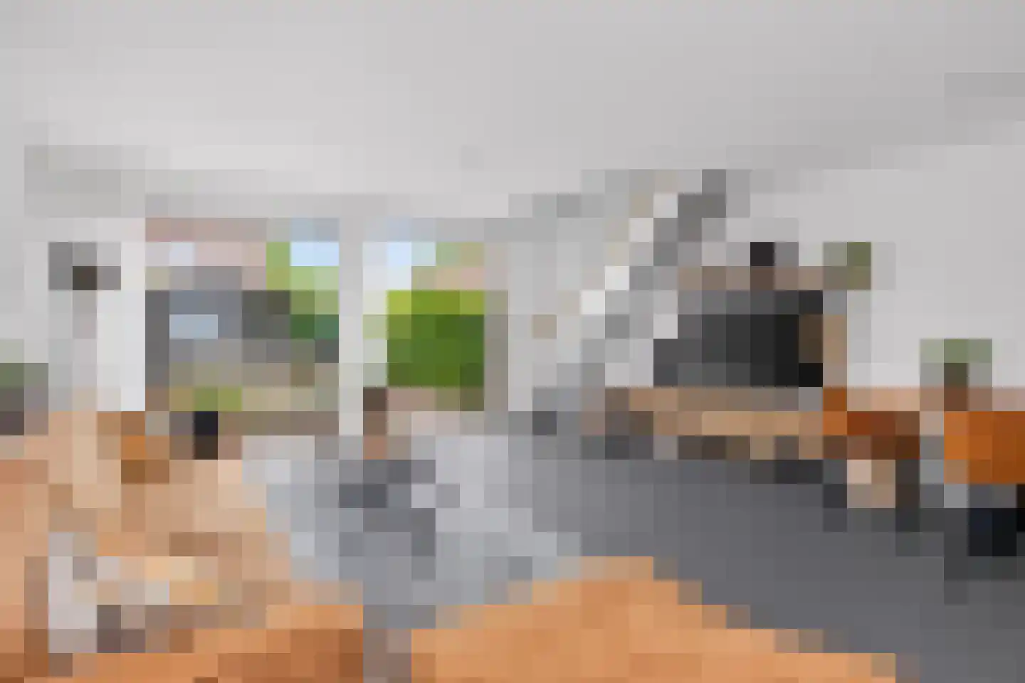 Kamelenspoor 170 Maarssen thumbnail 6
