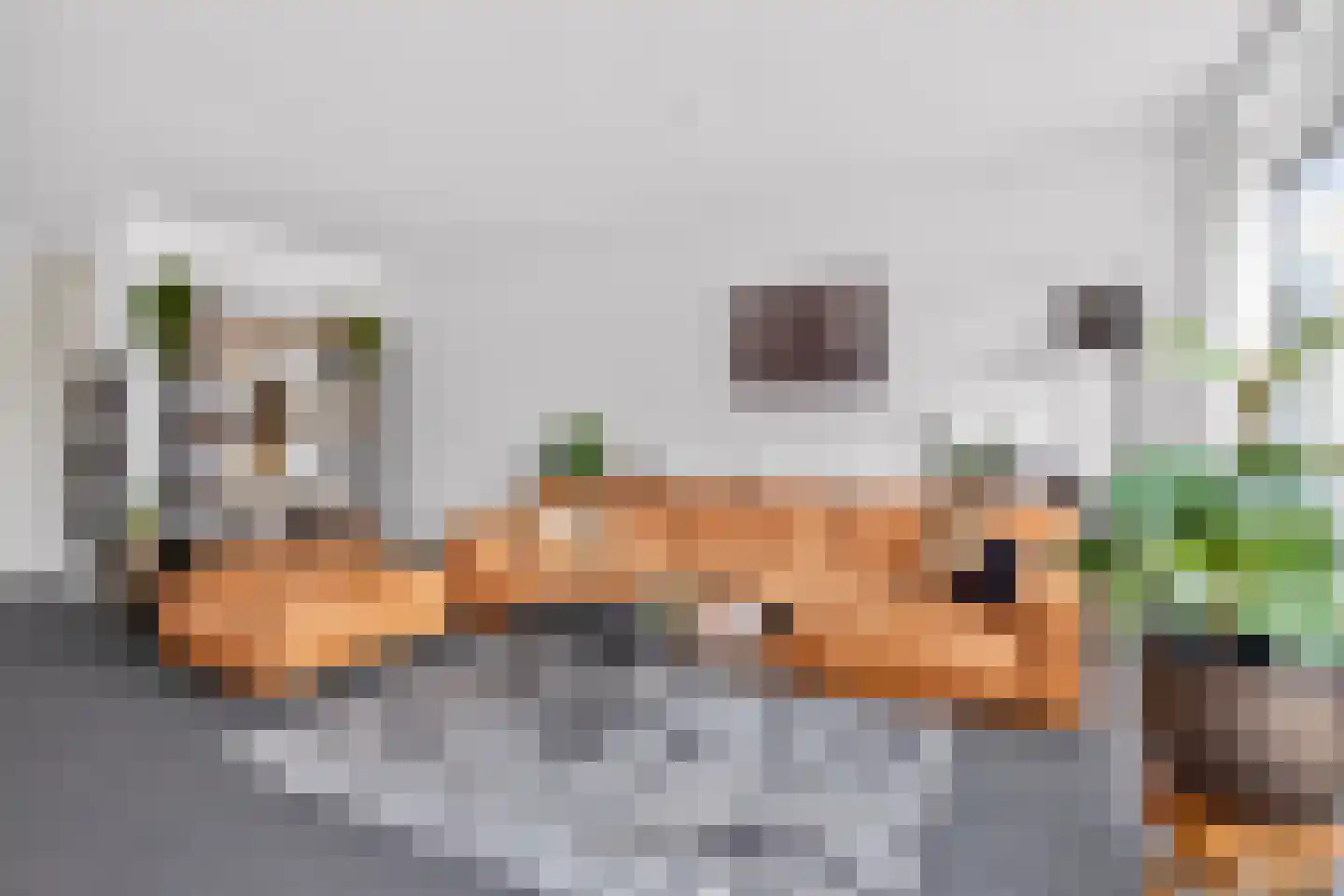 Kamelenspoor 170 Maarssen thumbnail 8