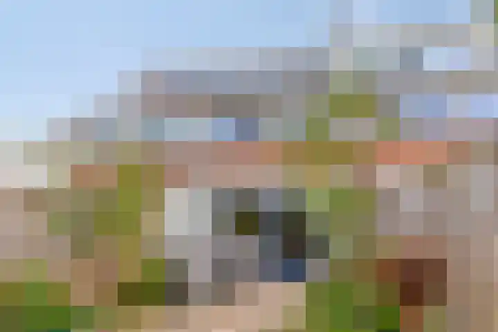 Kamelenspoor 194 Maarssen thumbnail 23