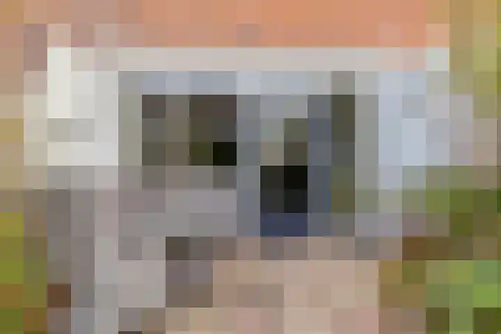 Kamelenspoor 194 Maarssen thumbnail 24