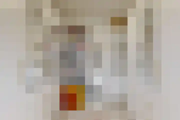 Kamelenspoor 198 Maarssen thumbnail 22