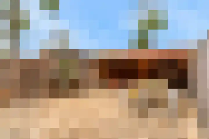Kamelenspoor 198 Maarssen thumbnail 25
