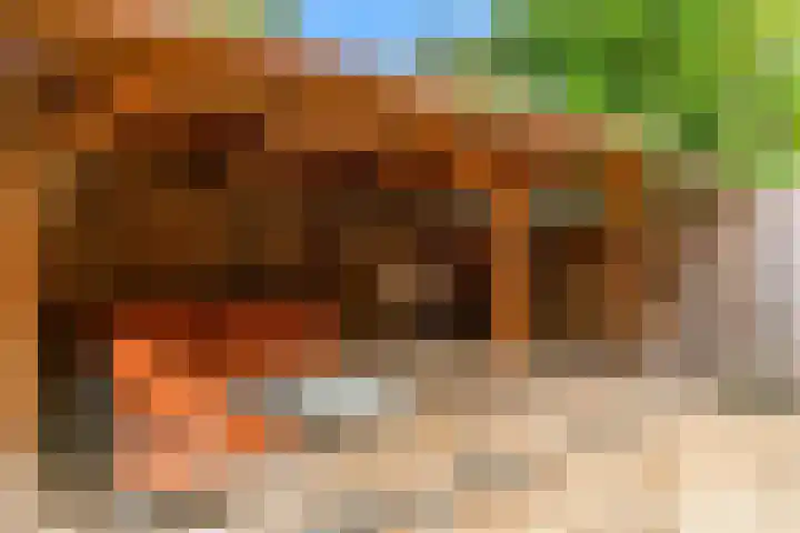 Kamelenspoor 198 Maarssen thumbnail 27