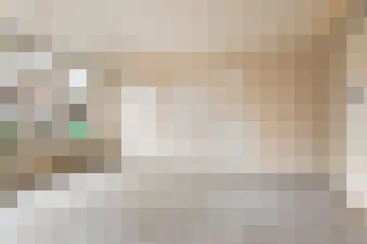 Kamelenspoor 234 Maarssen thumbnail 7