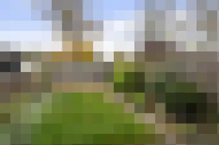 Kamelenspoor 234 Maarssen thumbnail 8