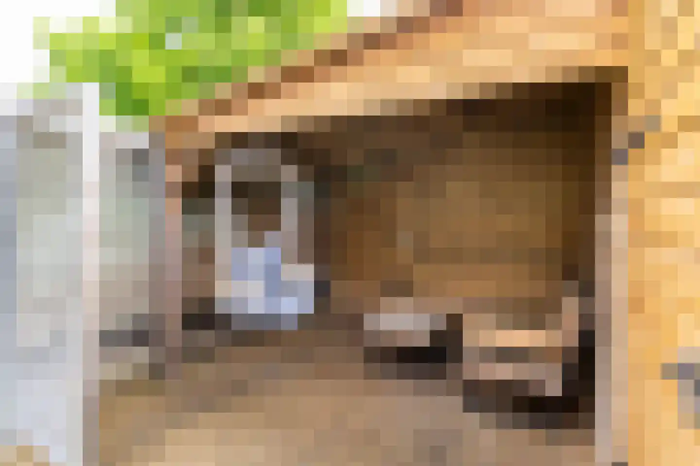 Kamelenspoor 238 Maarssen thumbnail 14