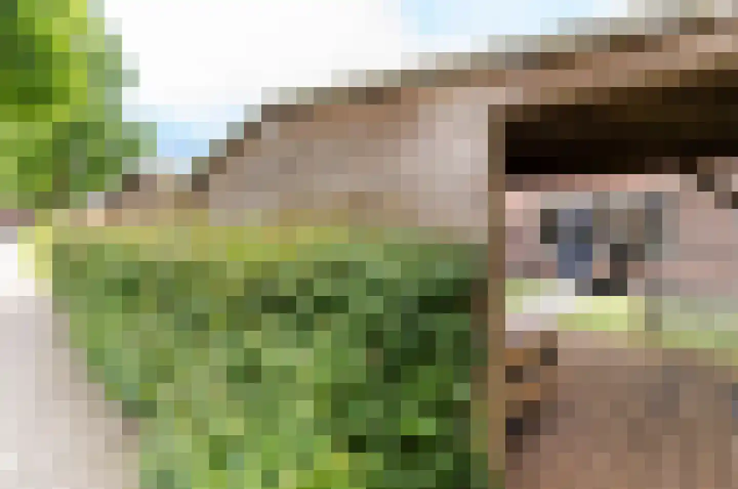 Kamelenspoor 238 Maarssen thumbnail 33