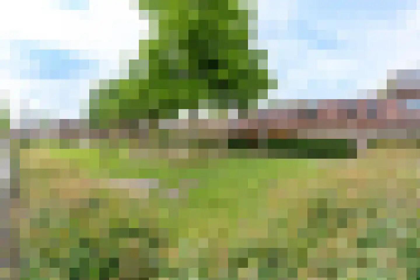 Kamelenspoor 238 Maarssen thumbnail 35
