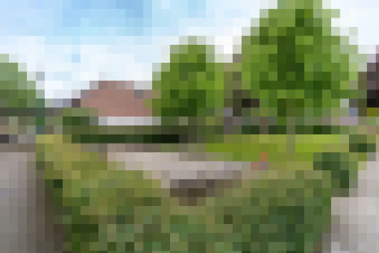 Kamelenspoor 238 Maarssen thumbnail 36