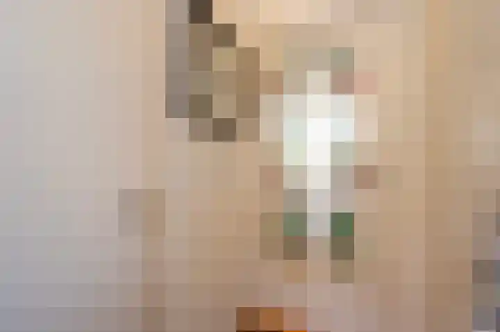 Kamelenspoor 259 Maarssen thumbnail 10