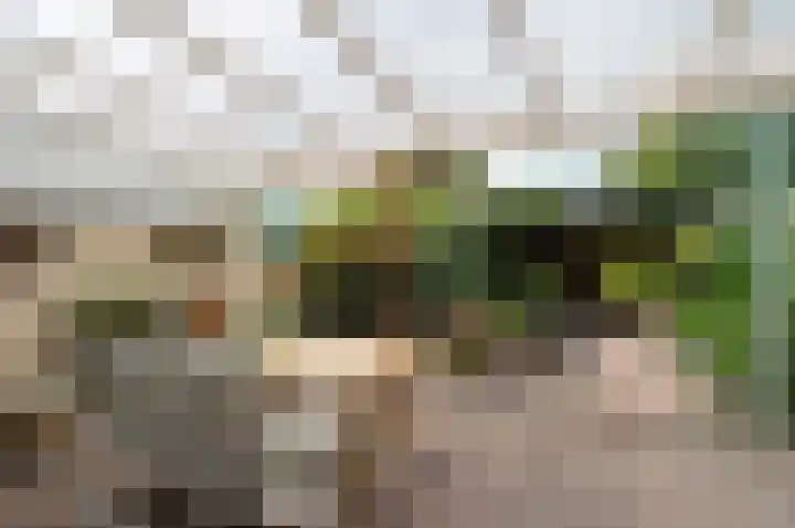 Kamelenspoor 259 Maarssen thumbnail 18